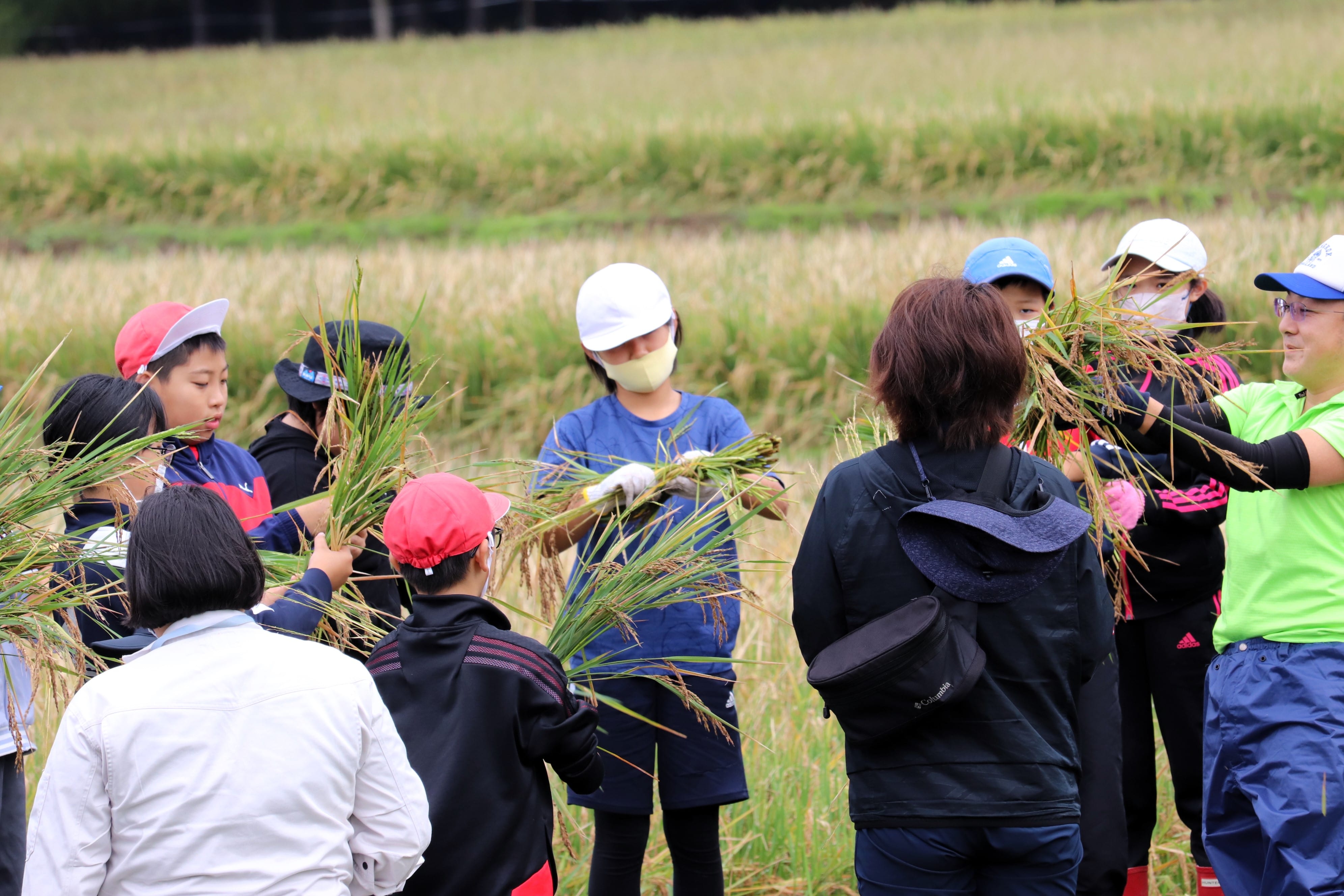 子供たちの画像６